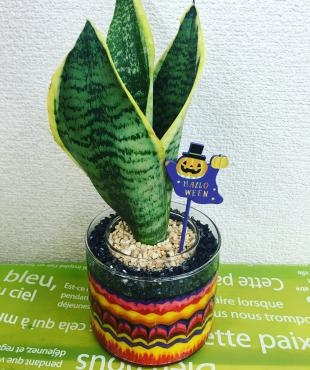 【10-11月ワークショップ】　《グラスサンドアート植物》|「厚木生花」　（神奈川県厚木市の花屋）のブログ
