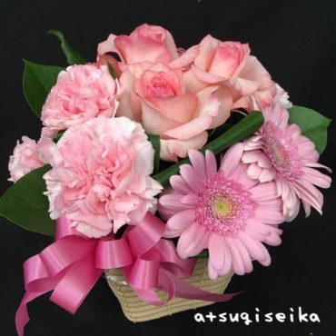 cute pink rose